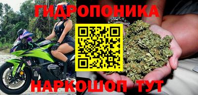 jwh Беслан