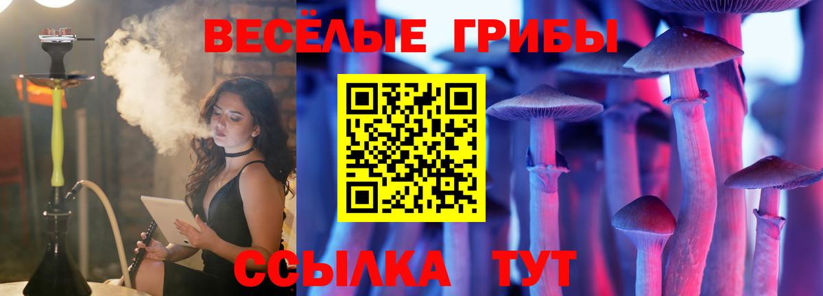 Калининград  Псилоцибиновые грибы ЛСД  Вход с VPN 